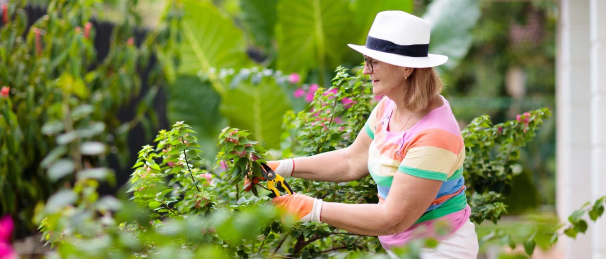 Sutherland Helps Top Supplemental Insurer Boost Closing Rate by 30% and Grow Annual Revenues